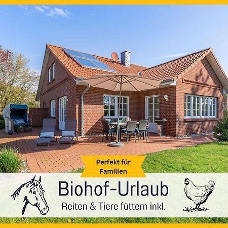 Bio Ferienhof Wichtelweide - Ferienhaus Lichtblick Fehmarn Eksteriør bilde