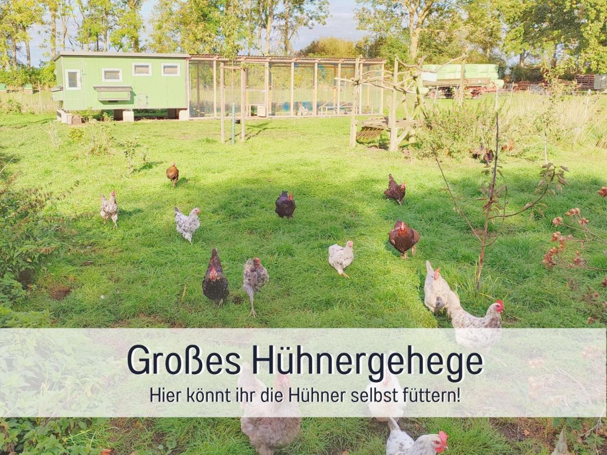 Bio Ferienhof Wichtelweide - Ferienhaus Lichtblick Fehmarn Eksteriør bilde
