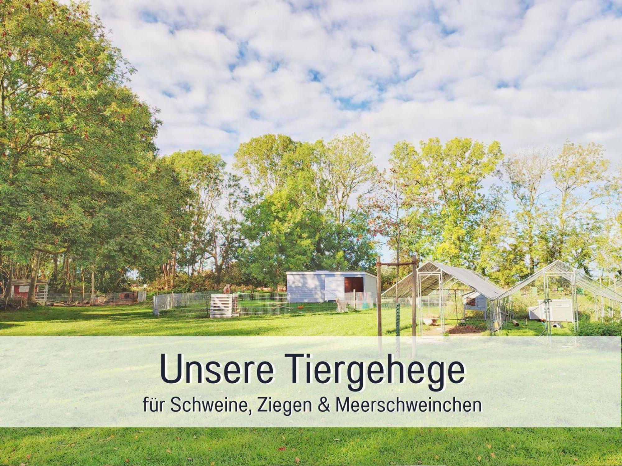 Bio Ferienhof Wichtelweide - Ferienhaus Lichtblick Fehmarn Eksteriør bilde